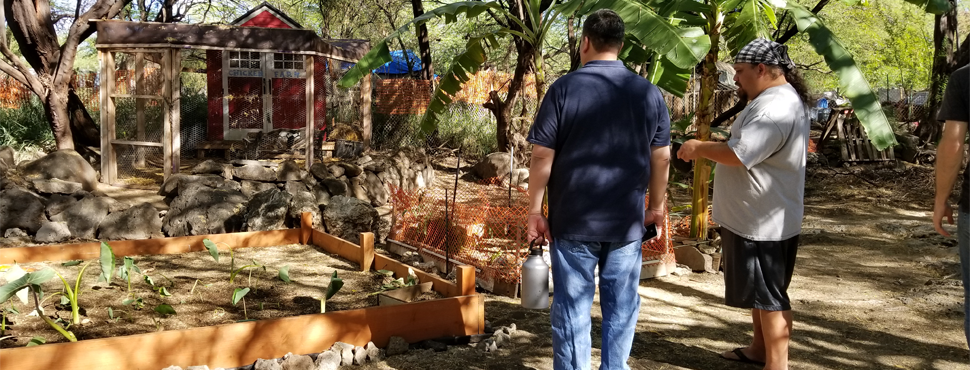 Pu'uhonua o Wai'anae Farm Village Project