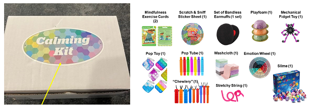 Calming Kits included a variety of items to stimulate and soothe the senses. Credit: APA Women & Planning Division.