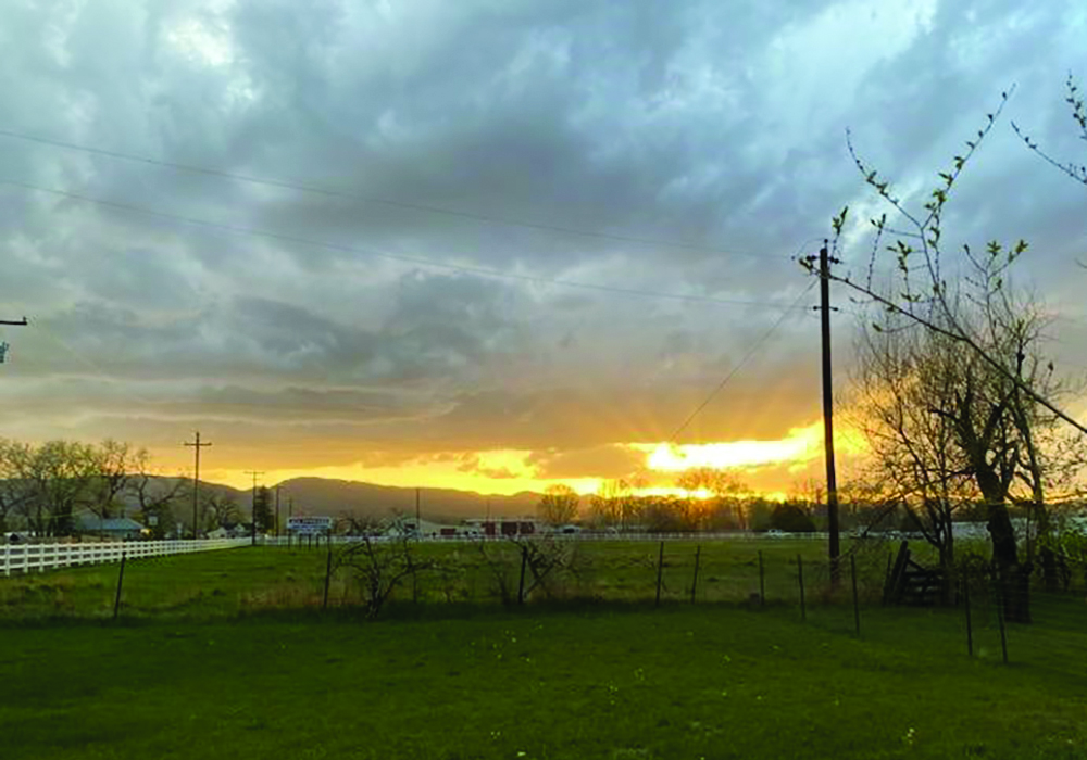 Dry Creek is a tributary of the Poudre River. It is primarily rangeland and irrigated hay meadows and pastures. Photo by Field Technician Alyssa Armbuster.