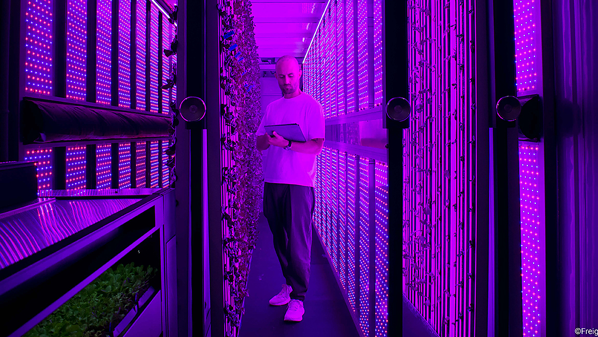 Freight Farms creates vertical farms inside shipping containers that can be trucked anywhere. Their IoT software Farmhand allows operators to automate and control their hydroponic farms with the touch of a screen, whether they’re on location or remote. Photos courtesy of Freight Farms.