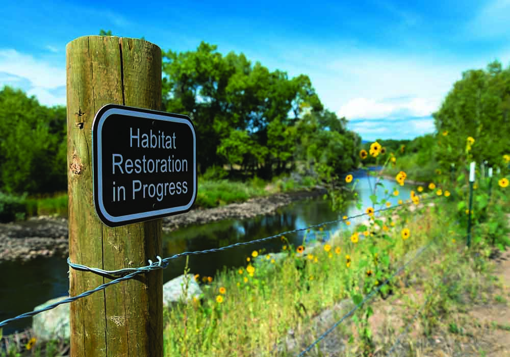 Habitat restoration in Fort Collins along the Poudre River Trail. Credit: iStock/Getty Images Plus - RiverNorthPhotography.