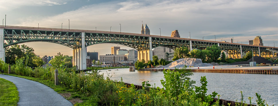 Where Did That Rain Garden Come From?