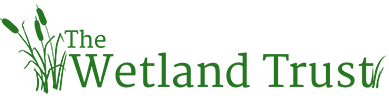https://planning-org-uploaded-media.s3.amazonaws.com/image/5dd7a08c-cb8d-491b-91ae-3b424c02a22cWetland-trust-wide-logo.png