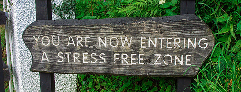 Blog-Header-Building-Professional-Sustainability-Small-Habits-To-Improve-Your-Ability-To-Cope-With-Stress