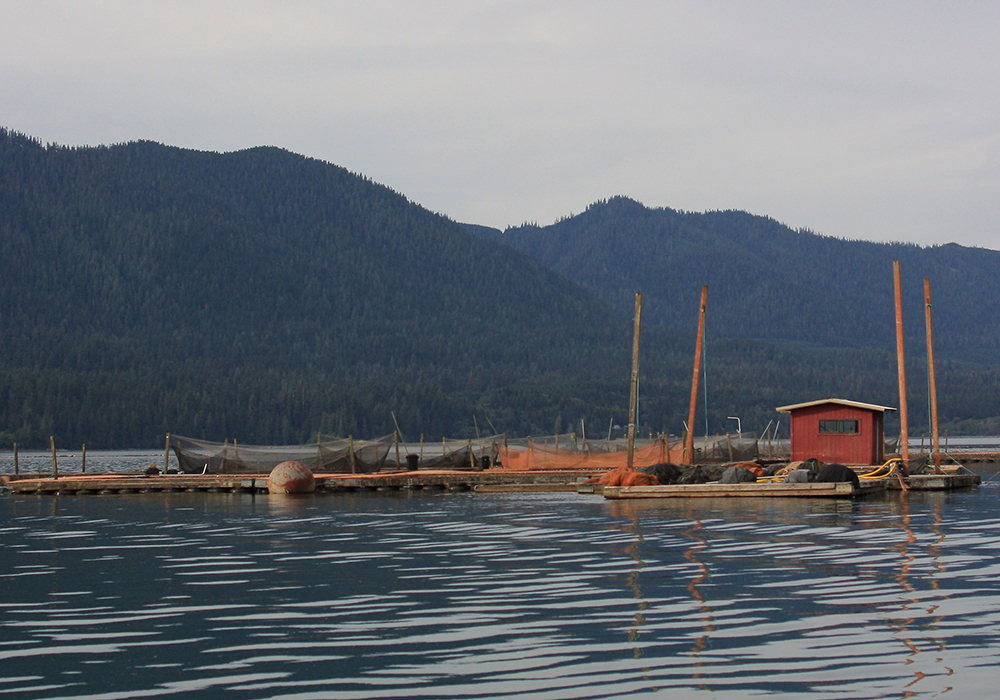 Preserving Cultural Heritage