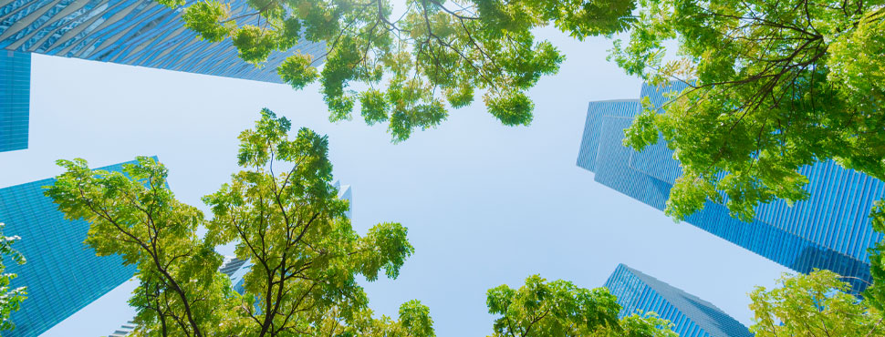 Planting for real Access