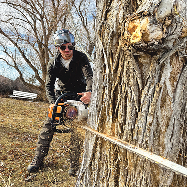 Trevor Peterson, the urban forester for Butte's parks and recreation department, says that work to remove old and decaying cottonwood trees and replace them with sturdier species stopped in early 2025.