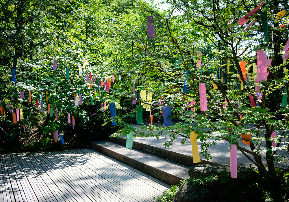 Anderson Japanese Garden. Credit: Flickr Pete (CC BY-NC-ND 2.0)