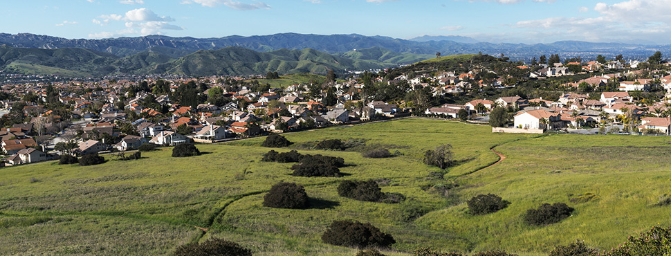 Green spring meadows and suburban homes in the Simi Valley area of Ventura County.