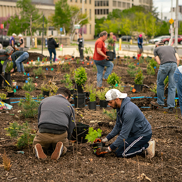 Worcester Public Library's former underused parking lot was a living classroom for community volunteers on the day of the forest planting. Photo courtesy of Alexandra Ionescu/Biodiversity for a Livable Climate.
