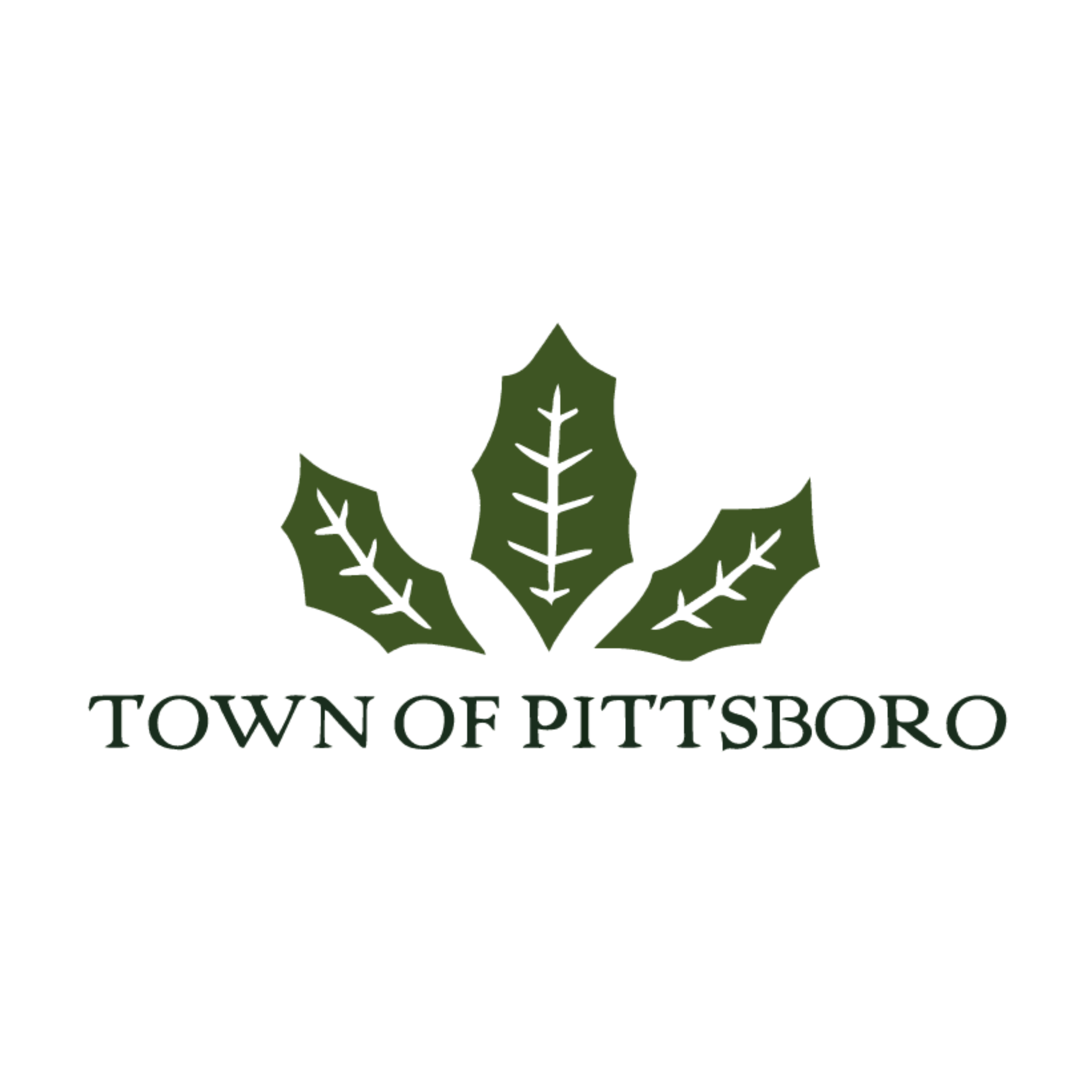 https://planning-org-uploaded-media.s3.amazonaws.com/image/8b6e0d34-a11c-488b-ab5e-5ffc054840faUpdated_TOP_Logo.png