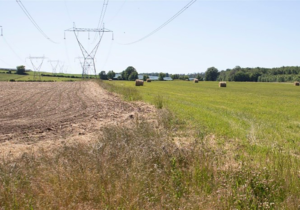 A large field with electrical transmission towers, haybales, and, in the distance, solar arrays.