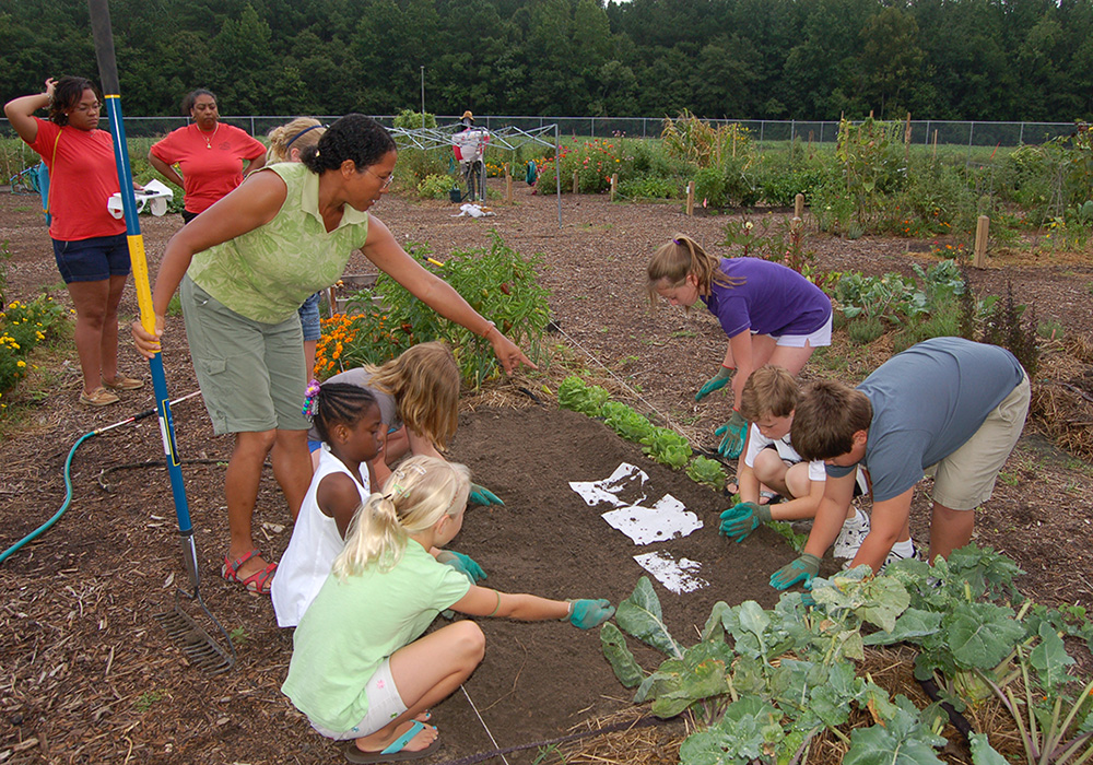 Children grow their own fruits and vegetables