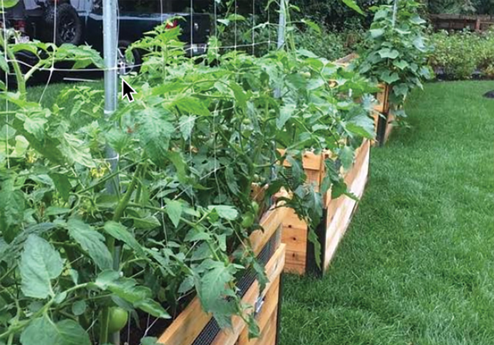 The District has a community garden with regularly scheduled dig-in-the-dirt sessions