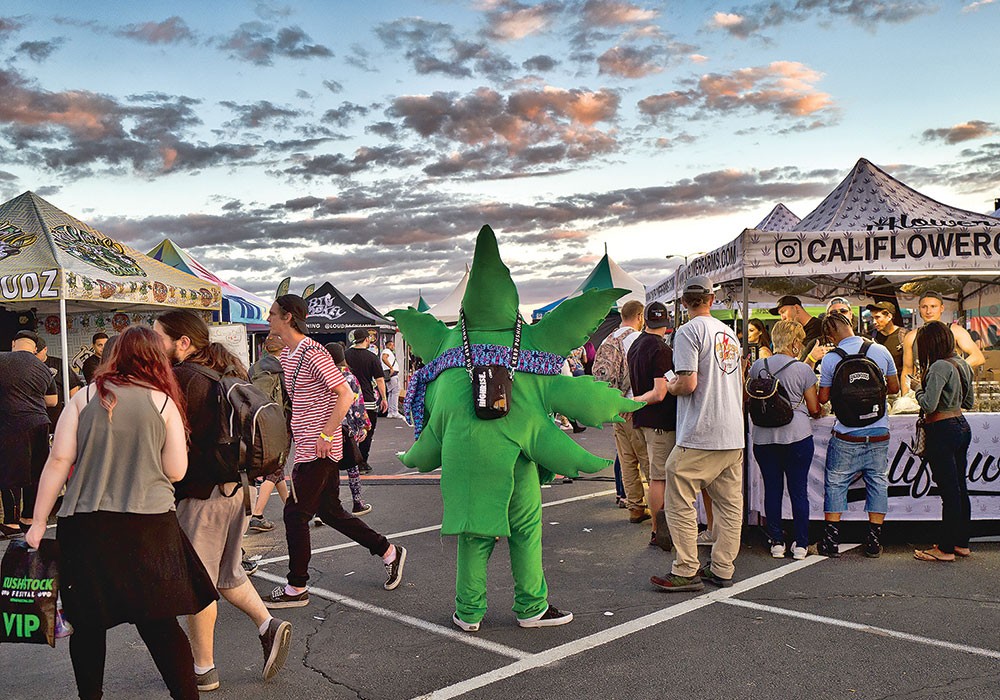 A man dressed as a marijuana leaf walks among attendees at the cannabis-themed Kushstock Festival at Adelanto, California, in 2018. Photo by Richard Vogel/AP.