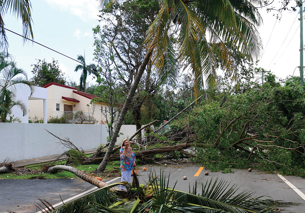 A woman walks by a tree toppled by strong winds in Miami during Hurricane Irma. The city already had mitigation projects waiting for funding before Irma struck in September 2017. Photo by Yin Bogu/Xinhua/Alamy Live News.
