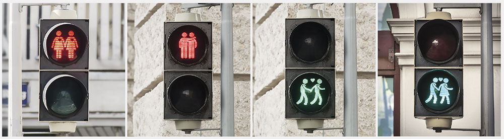 From left, photos from Shutterstock/Nobelio; Muellek Josef (two photos); Rafaelzenato.