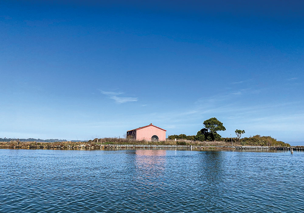 Wiyot’s second World Renewal Ceremony since 1860 will be held this month on Tuluwat Island. Photo by Sarah Holder/CityLab.
