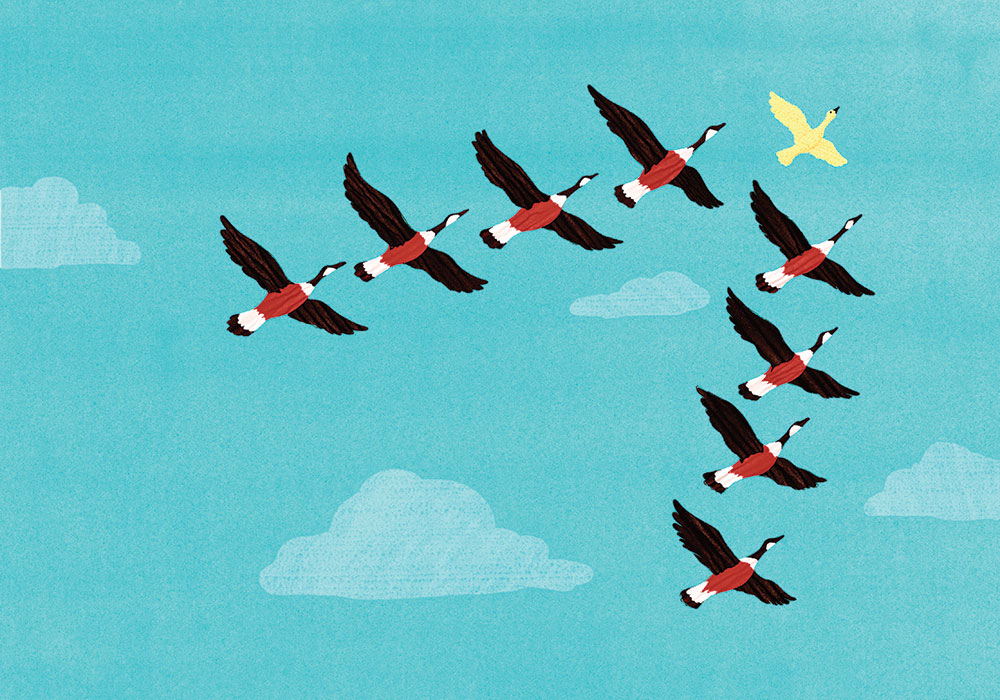 Illustration by Alex Nabaum.