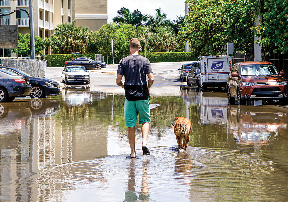 Miami saw record-breaking high tides last summer, resulting in frequent sunny day coastal flooding throughout residential areas. Photo by Ellis Rua/AP Photo.