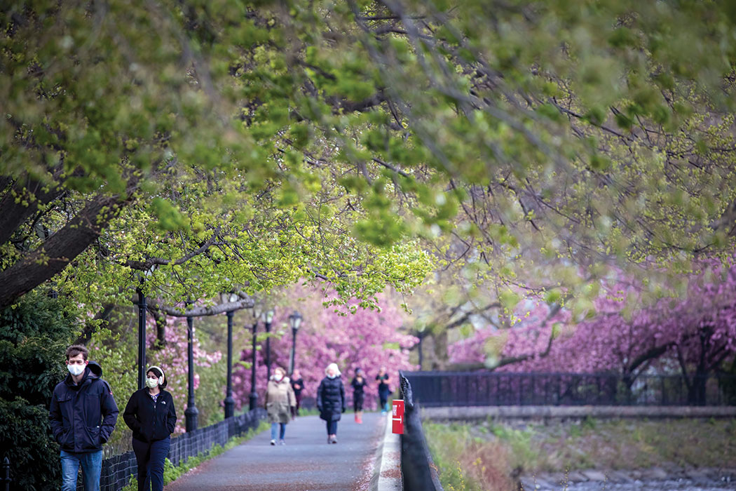 New Yorkers walk around Central Park’s Jacqueline Kennedy Onassis Reservoir in late April. Photo by Sarah Blesener/The New York Times.