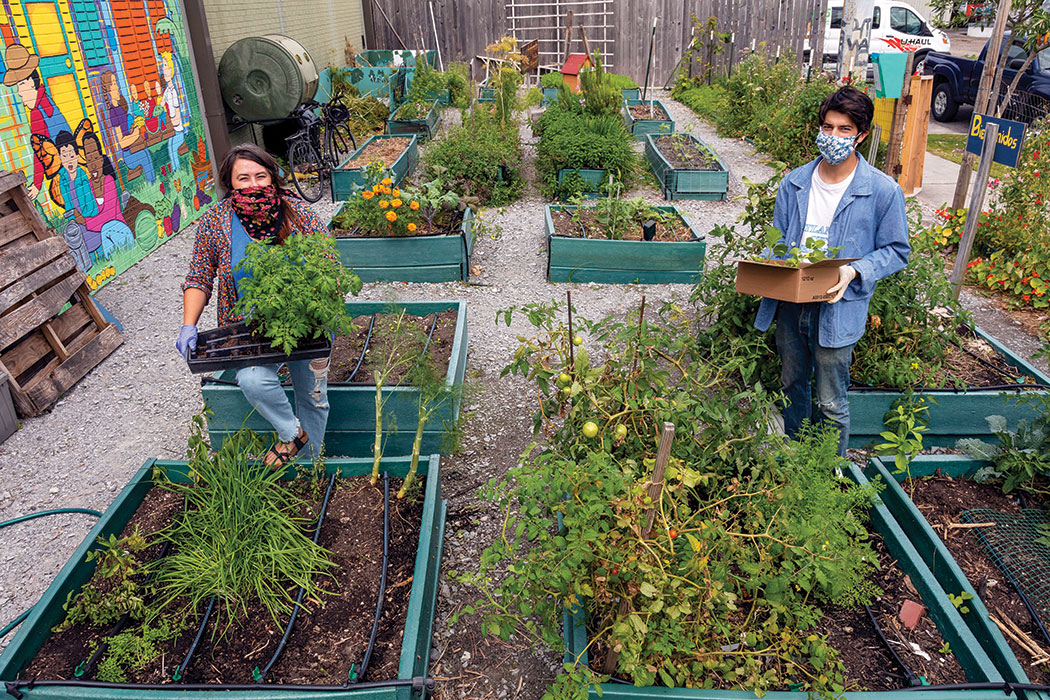 Members of the New Orleans nonprofit Sprout Nola maintain their physical distance while working in a community garden. Around the country, local growing operations are filling the dual need for fresh produce and safe social outdoor time. By Cedric Angeles/The New York Times.