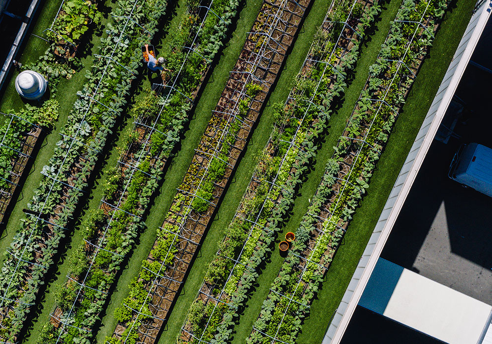 Beyond Stormwater
