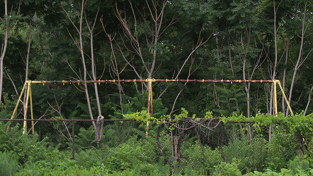 Pollution is also in the ground: This five-acre playfield was found to be contaminated by lead and condemned.