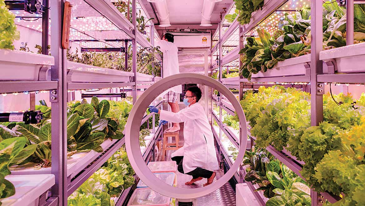 The Vegetable Co. in Kuala Lumpur grows vegetables vertically under LED lights in a 320-foot shipping container on the edge of a parking lot. They are one of a growing number of small farms around the world selling, and in their case delivering, directly to local consumers. Photo by Ian Teh/The New York Times.