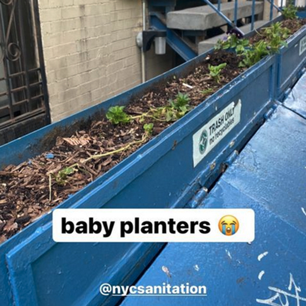 Her content includes the bad and good design she sees in her everyday life, like a picture of trash cans lined with planters.