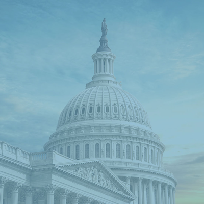 US Capitol Building 400x400 icon US Capitol