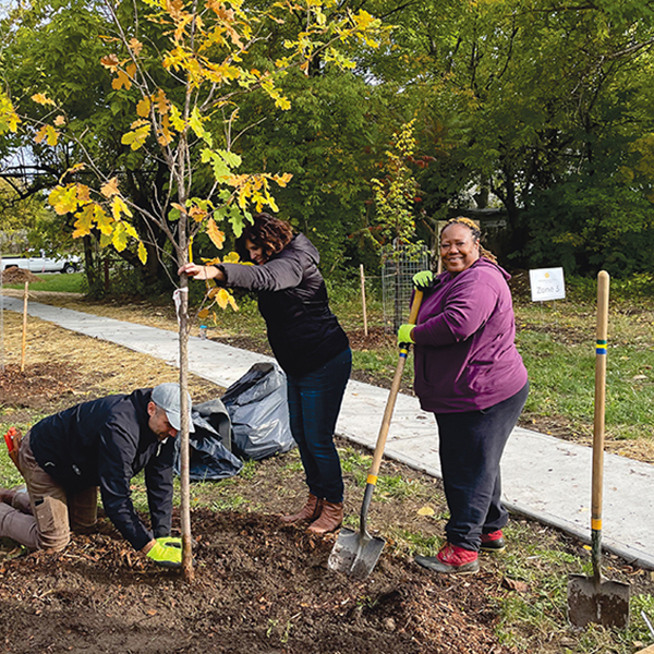 Planner Sara Tillie (above) is the director of the Cleveland Tree Coalition, a collective that recently lost a major Arbor Day grant. It is nonetheless finding a path forward, in part because of their collective funding model, which relies on partnerships to fund its work across the city. Photos courtesy of Cleveland Tree Coalition.