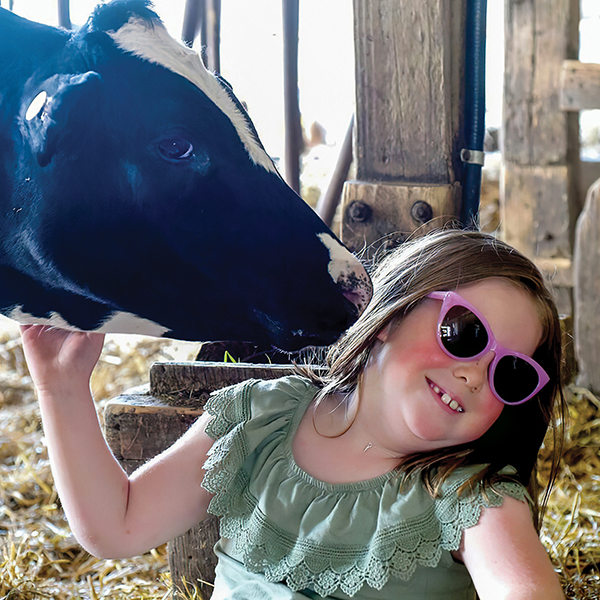 Tastings, dinners, local produce, and hands-on farm experiences like cow cuddling add to agritourism’s appeal. Photo by Kate Collins/Hornell Evening Tribune.