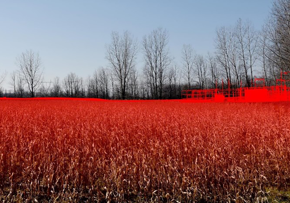 A field of wheat in front of a utility substation.