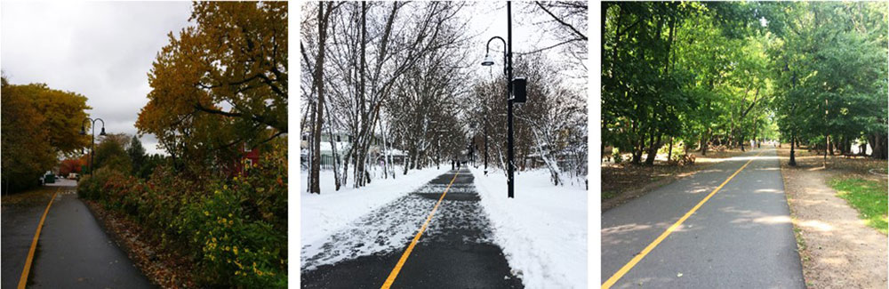 Path in the fall, by Scott Penman 2020; Path in the winter by Mar&iacute;a de la Luz Lobos 2021; Path in the summer by Mar&iacute;a de la Luz Lobos 2020.