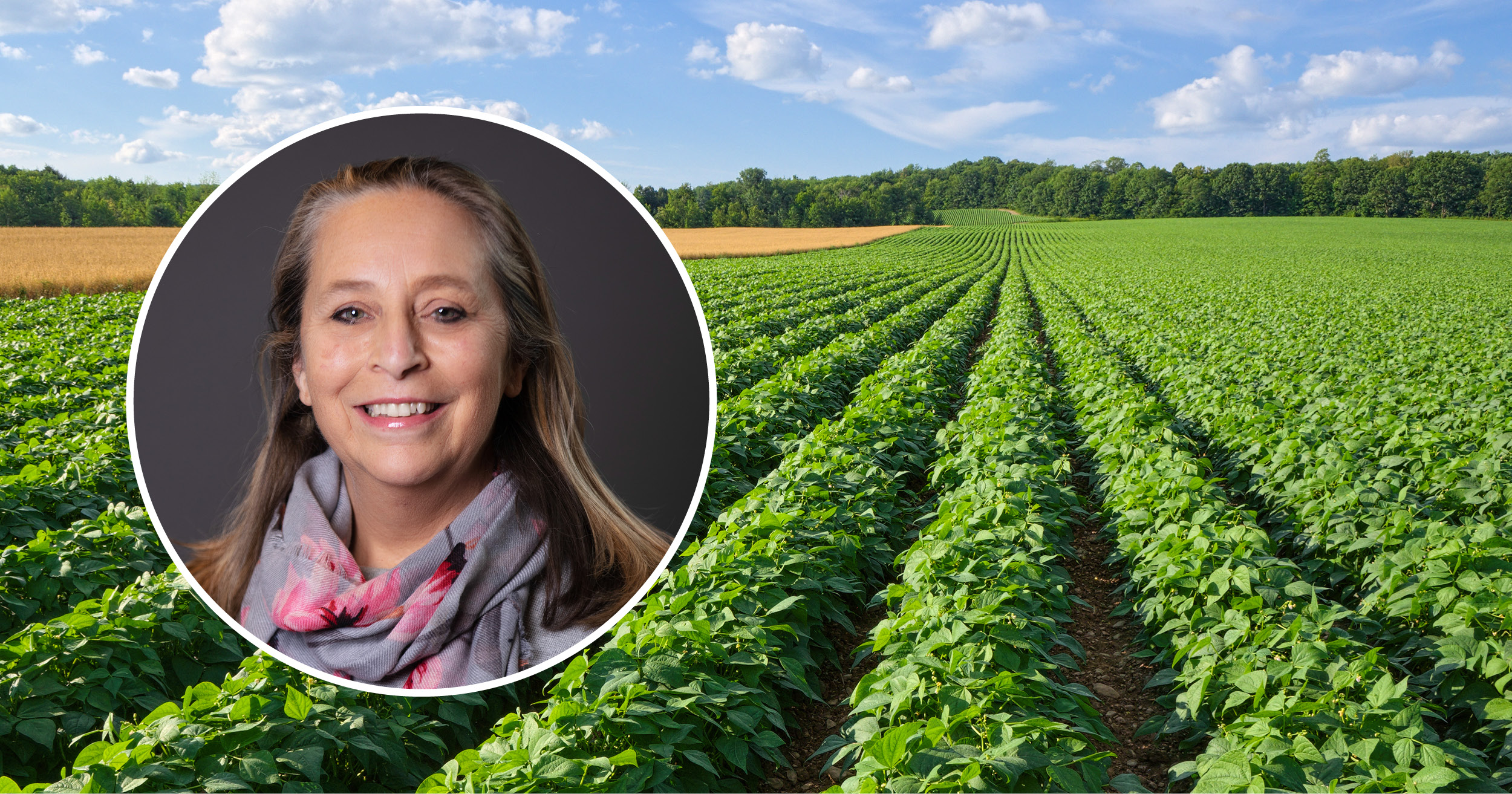 American Farmland Trust’s Julia Freedgood on Planning Sustainable Food ...