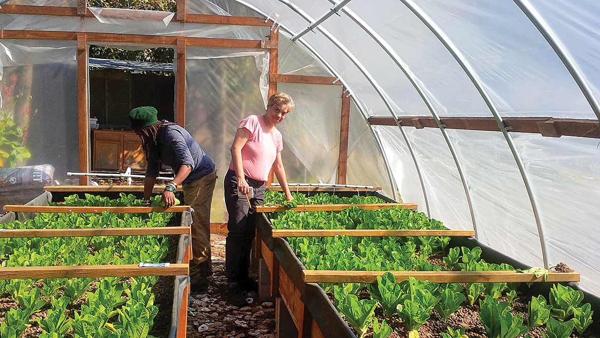 Growers tend aquaponic beds that use recycled water as an alternative to soil. Recirculating Farms has been supporting fresh food production in New Orleans for more than 10 years, running spaces managed under Growing Local NOLA Farms.