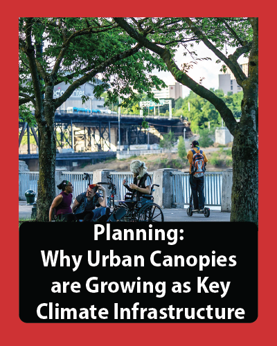 Why Urban Canopies Are Growing As Key Climate Infrastructure (Planning July 2023)