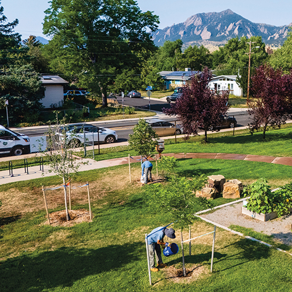 Young people from the Community Forestry Corps help plant and water trees on a school site (below) in Boulder, Colorado, in August 2025. To supply the water, Boulder planner and Senior Climate Policy Advisor Brett KenCairn (above) found an innovative temporary watering technique that relies on fire hydrants. Photos by Michael Ciaglo.