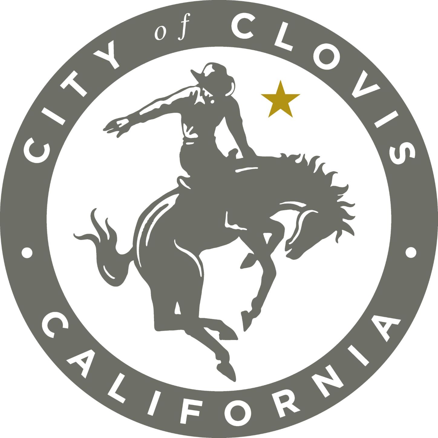 https://planning-org-uploaded-media.s3.amazonaws.com/image/fb290213-e72b-4190-9fce-5347270616b5COC_City_Seal_2MP.jpg
