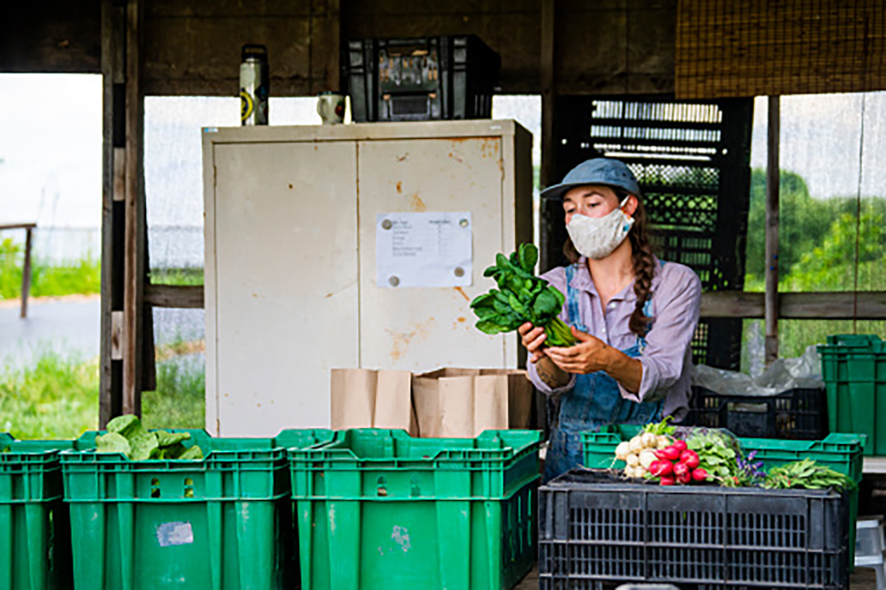 A farmers market in operation during Covid-19.  A farmer behind produce tables at a farmers market.