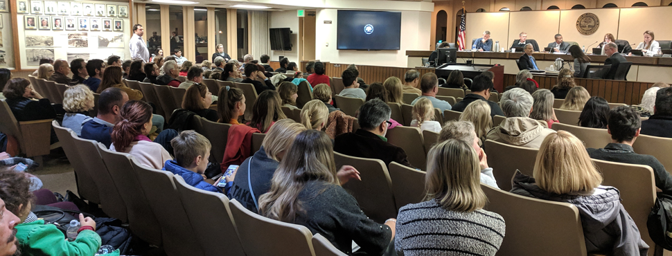 public meetings online