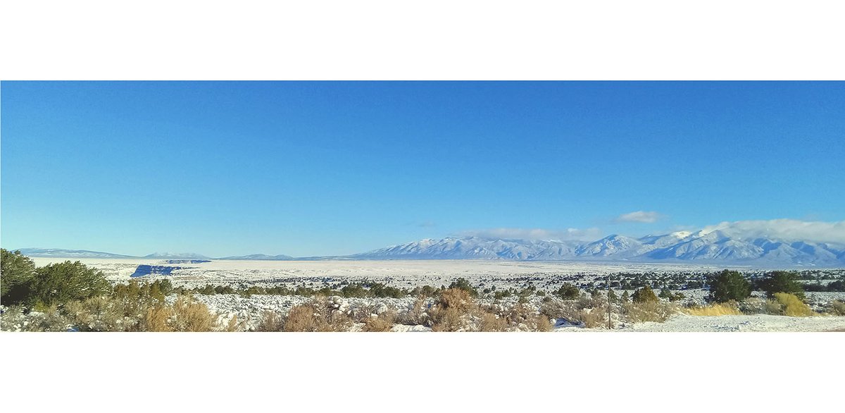 APA New Mexico Chapter