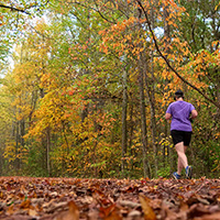 Person jogging on a leaf-covered path in an autumn forest.