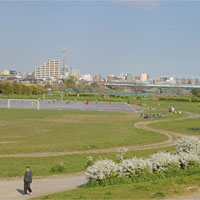 Toyoko Japan Park