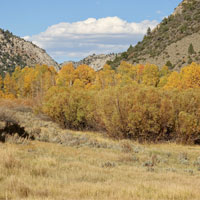 Planners and Reparations