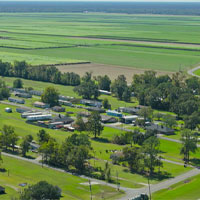 Farmfield - rural