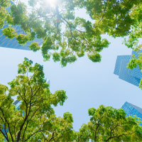 Planting for real Access