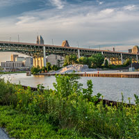 Where Did That Rain Garden Come From?