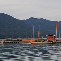 View of the Quinault fish hatchery from August 26, 2009.
